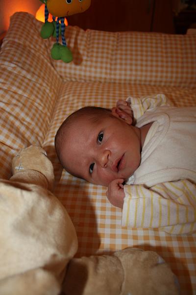 IMG_2530.jpg