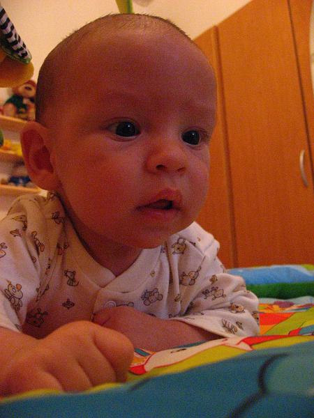 IMG_1701.jpg