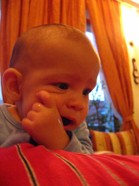 IMG_2277.JPG