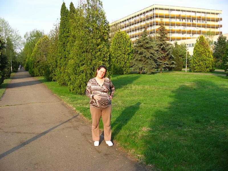 IMG_0100.jpg
